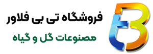 لوگوی تی بی فلاور